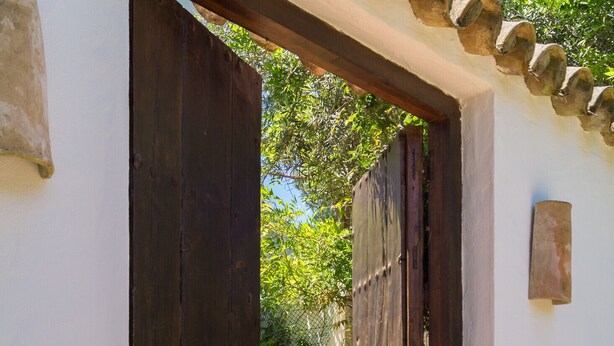 Una puerta de madera que da a un patio con plantas en macetas y piso de baldosas.