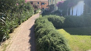 A paved pathway flanked by lush greenery and flowering plants, leading to a row of residential buildings with balconies. - directly on the sea new apartment with garden and swimming pool (badesi)