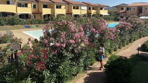 A residential area with a swimming pool surrounded by pink flowering bushes. - directly on the sea new apartment with garden and swimming pool (badesi)