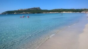 Beach - Santa Teresa Gallura: House / Villa - Santa Teresa Gallura with swimming-pool (Santa Teresa Gallura)