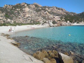 Beach - Santa Teresa Gallura: House / Villa - Santa Teresa Gallura with swimming-pool (Santa Teresa Gallura)