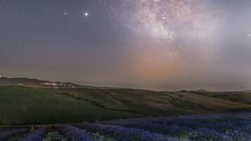 Un cielo notturno stellato con la Via Lattea sopra un campo di lavanda.