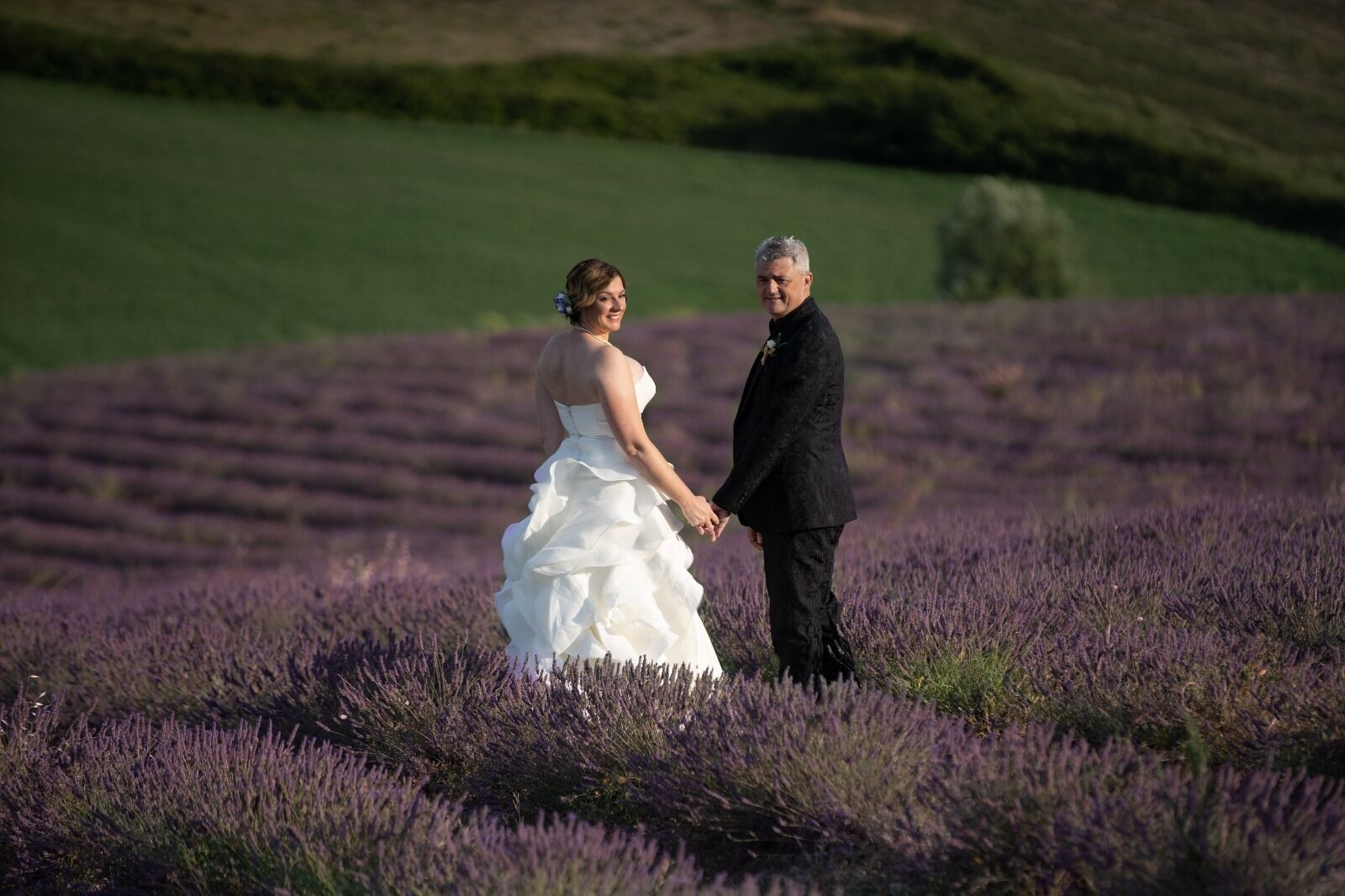 Un couple se tenant la main dans un champ de lavande.