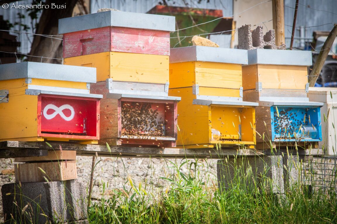 A row of colorful beehives with a red one featuring a white infinity symbol.