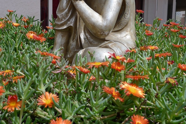 Außendetails