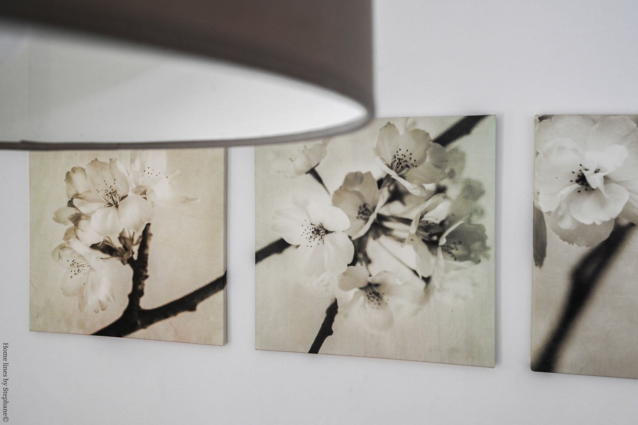 Three wall-mounted floral paintings.