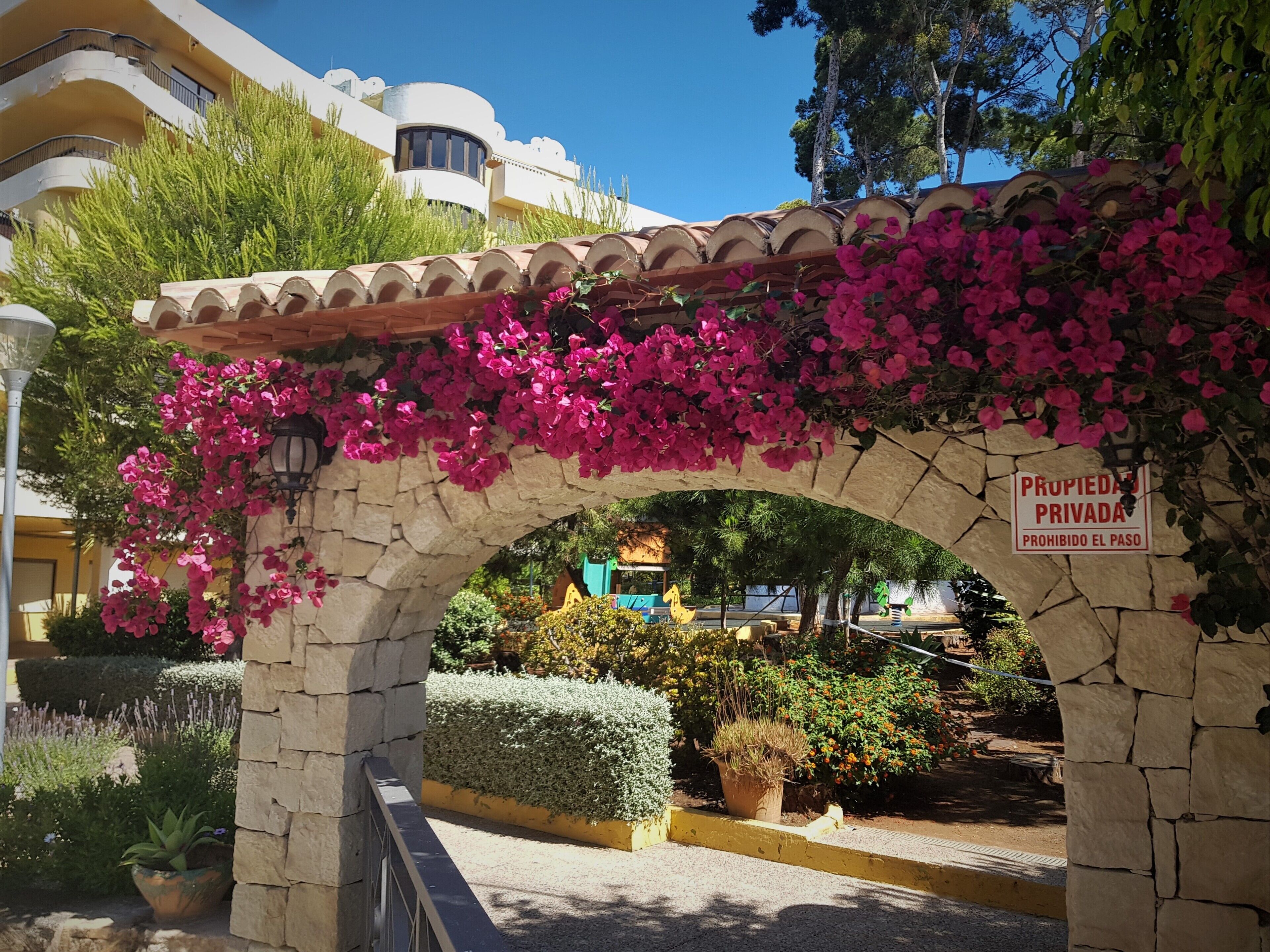 Jardines del alojamiento