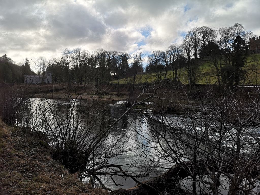 A river with trees and a building in the background.