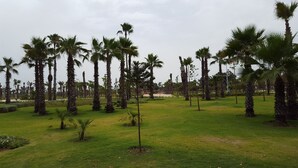 Un parque con numerosas palmeras y césped bien cuidado.