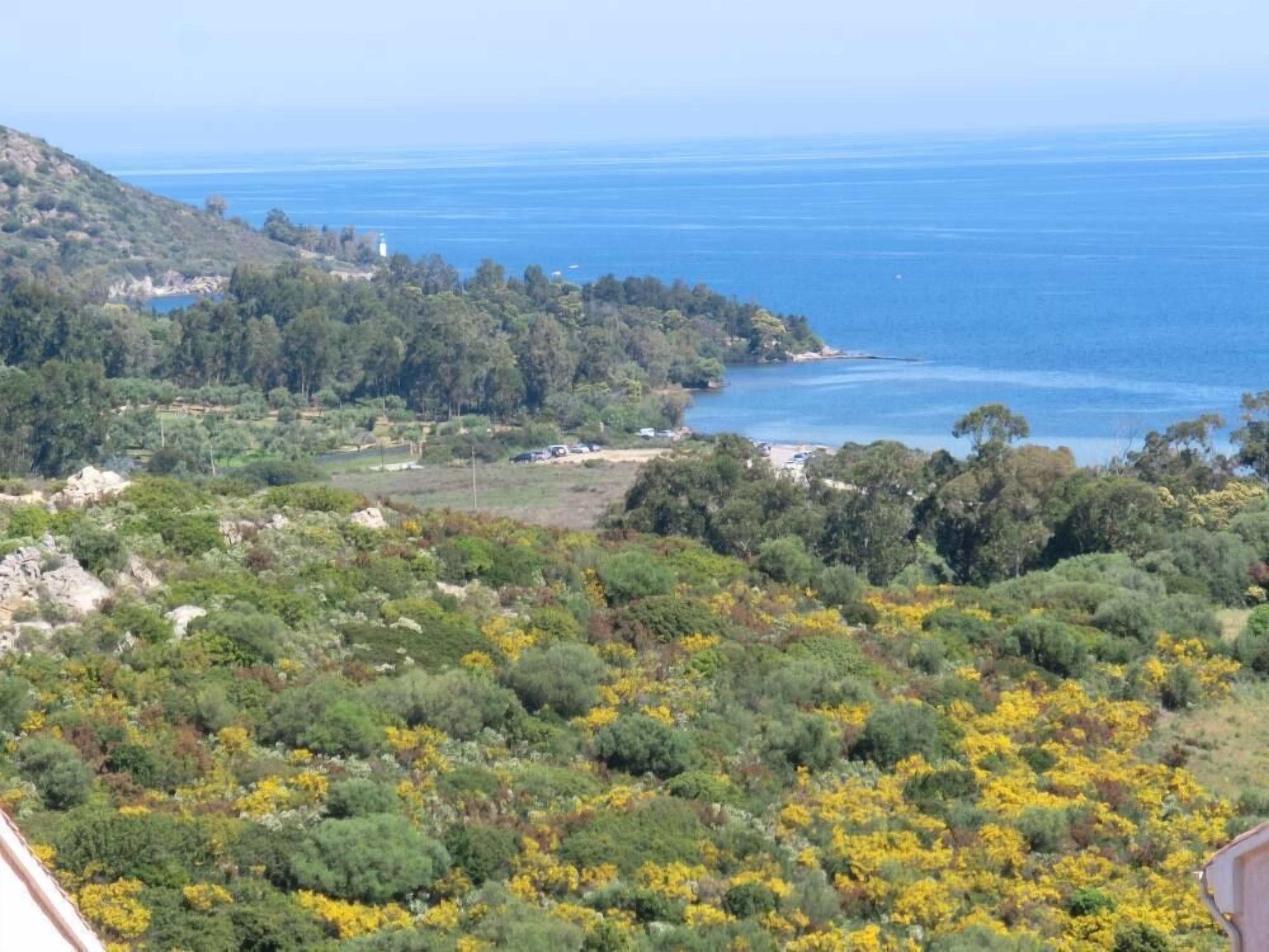 Vue plage de la terrasse