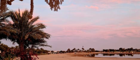 Alberca al aire libre, alberca climatizada y camastros