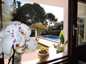 A view through a window of a swimming pool, potted plants, and a door.
