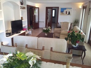 Smart TV, fireplace, DVD player, books