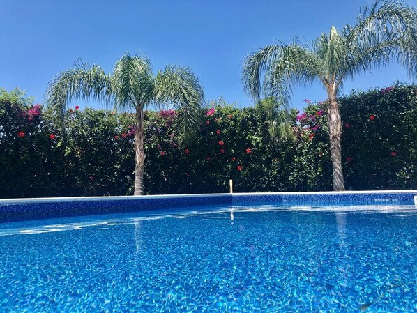 A clear blue pool with palm trees and flowering bushes in the background.