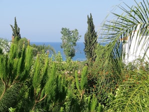 Escape to a serene coastal haven surrounded by lush greenery and a breathtaking ocean view.