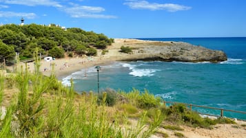 Playa en los alrededores