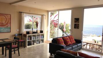 Televisie, een open haard, een dvd-speler en boeken