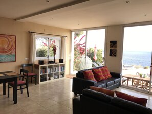 TV, fireplace, DVD player, books