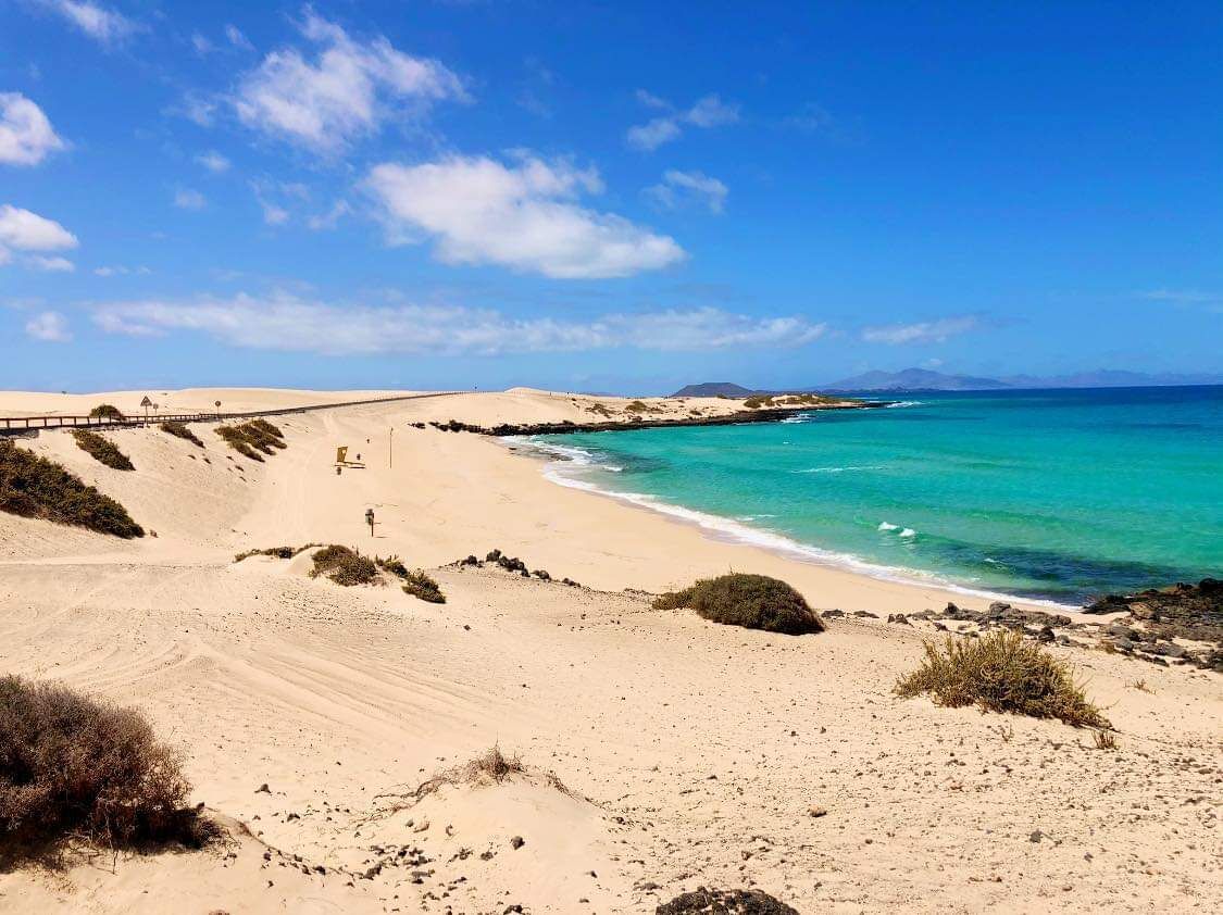 بالقرب من الشاطئ