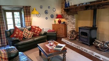 TV, fireplace, DVD player, table tennis