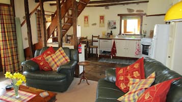 Télévision, cheminée, lecteur de DVD, table de tennis de table