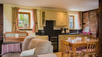 Télévision, cheminée, lecteur de DVD, livres