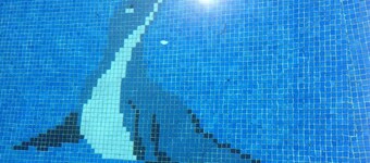 Lovely Villa close to the beaches - Private Pool/Garden/Wi-Fi - Casa Palmera
