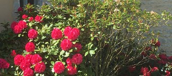 In an historical monument: Farm Manor in Bayeux