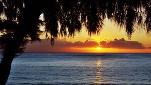 Atardecer sobre el océano con la silueta de un árbol en primer plano.