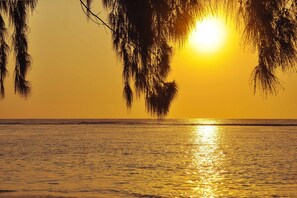 Un coucher de soleil sur une mer calme, avec les branches d’arbres se découpant en silhouette sur le ciel.