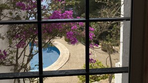 Une vue à travers une fenêtre donnant sur une piscine, entourée de bougainvilliers aux fleurs violettes et d’arbres.