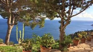 Un chemin de pierre mène à une terrasse agrémentée de plantes en pot et de cactus, d’où l’on peut admirer une vue sur la côte.