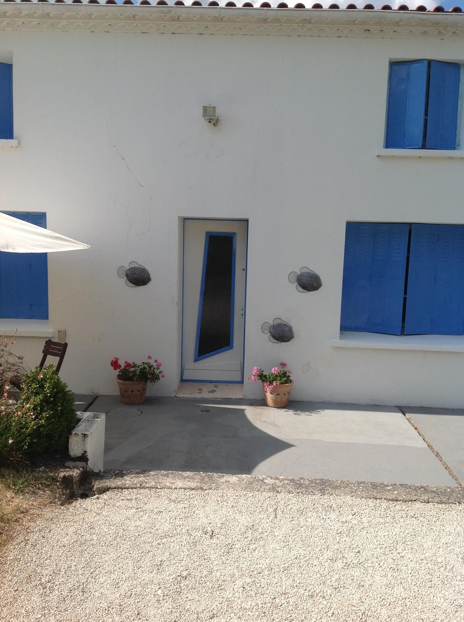 A building with a white facade, a blue door, and blue shutters on the windows. There are two potted plants with pink flowers in front of the door.
