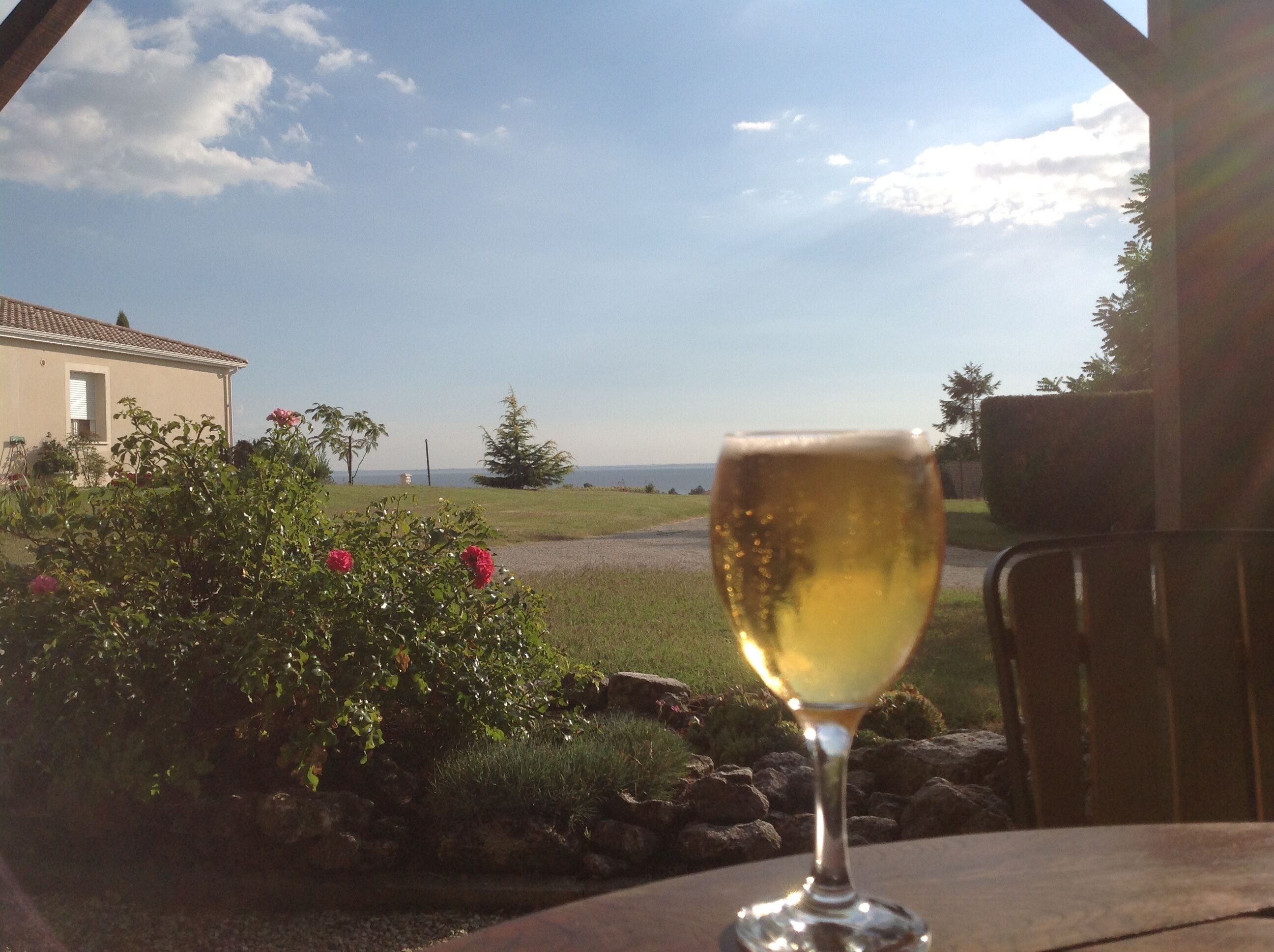 A glass of white wine on a table with a view of a house and a grassy area.