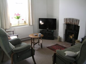 TV, fireplace, DVD player, books