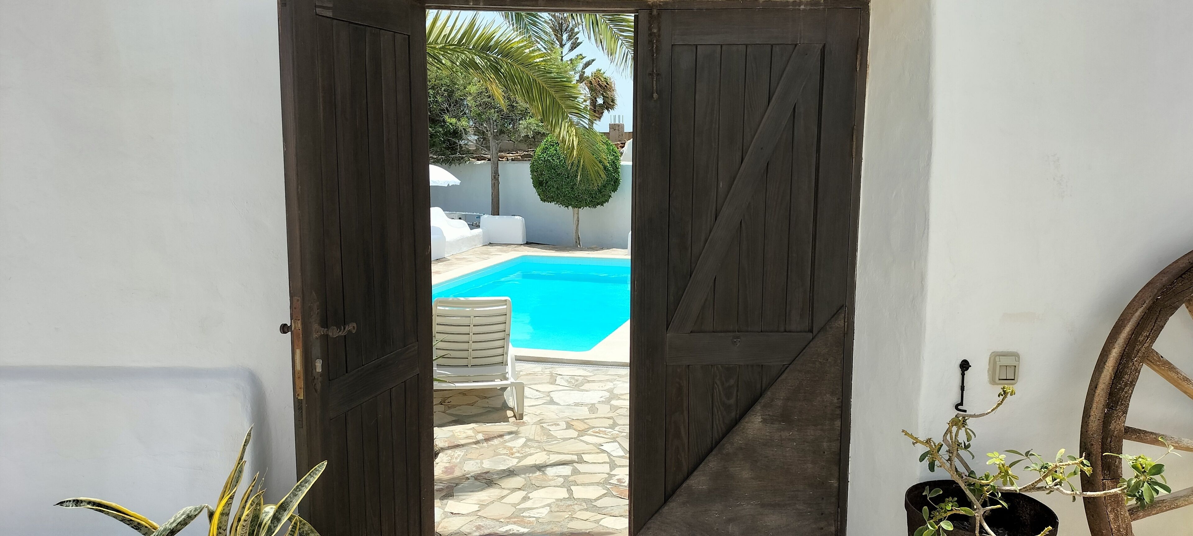 Outdoor pool, a heated pool, pool loungers