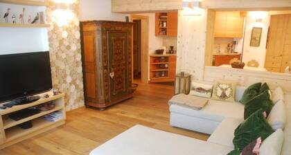 Große und elegante Wohnung nur einen Steinwurf von den Skipisten entfernt