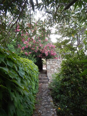 Property grounds - VILLA DOLPHIN TERRACE ON THE SEA (Golfo Aranci)