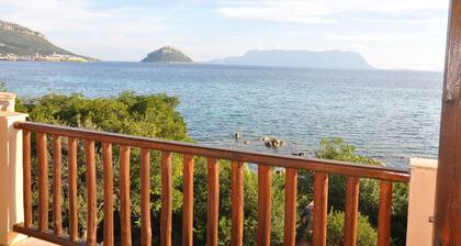 VILLA DELPHIN Terrasse am Meer