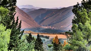 A mountainous landscape with dense forests and a valley.