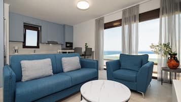 TV connectée, cheminée, lecteur de DVD