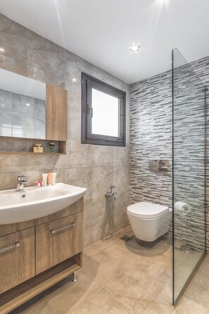 Combined shower/tub, hair dryer, towels, soap