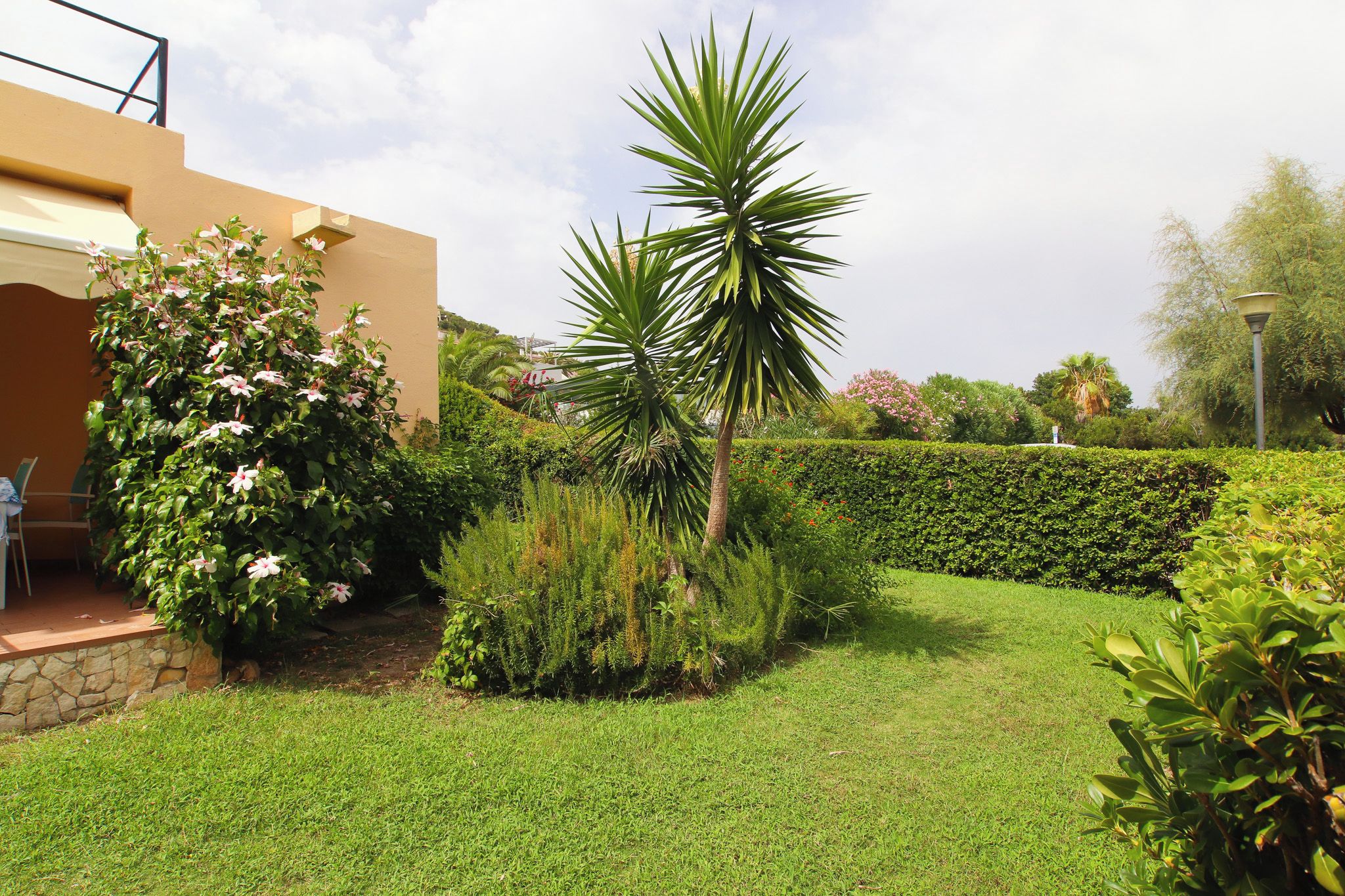 A well-maintained garden with a variety of plants and a palm tree, a stone wall, and a building with a beige facade.