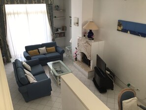 TV connectée, cheminée, lecteur de DVD, livres