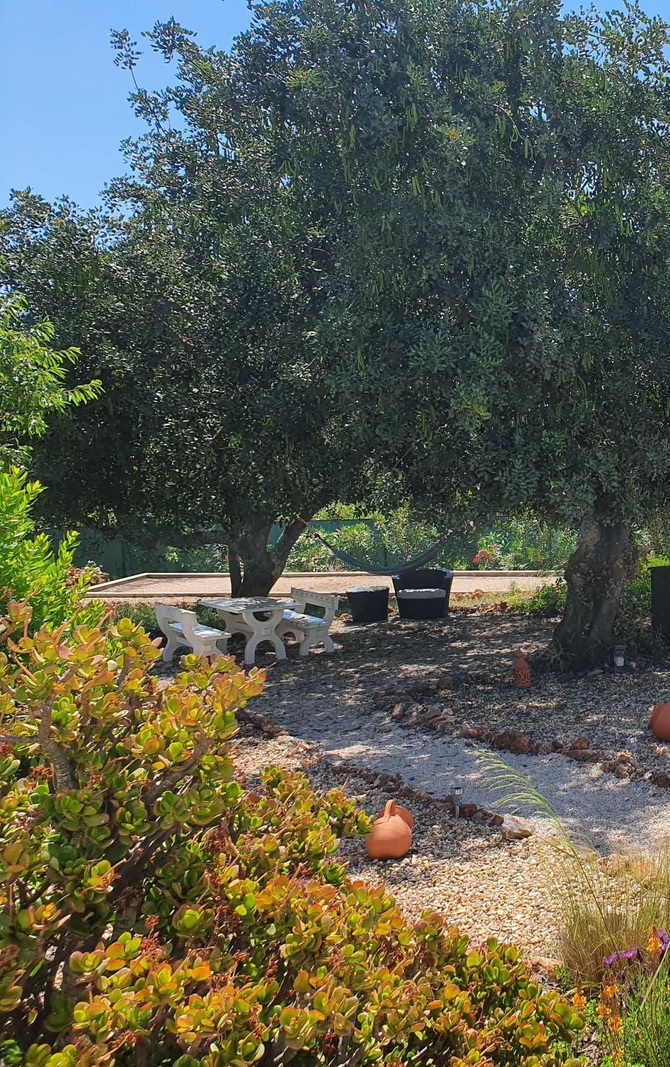 Un jardin avec un espace aménagé pour s’asseoir, un hamac et un grand arbre.