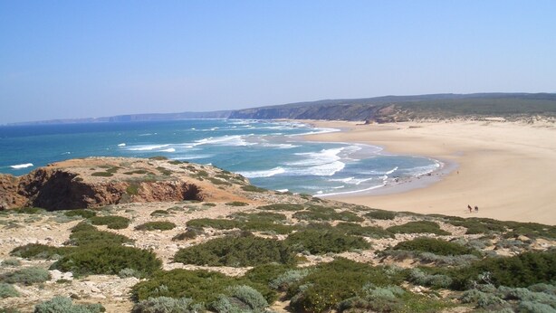 Eine Küstenlandschaft mit Sandstrand, Felsen und dichter Vegetation.