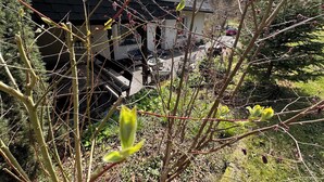 Ett bostadsområde med ett hus, en uppfart och omgivande växtlighet.