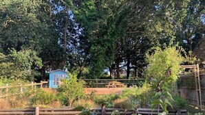 A small blue cabin surrounded by dense trees and a wooden fence.