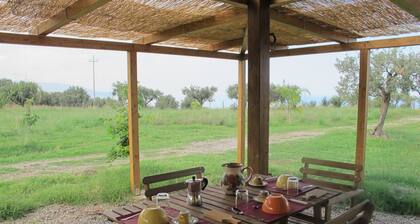 Special offer! Bungalow under the stars in the countryside 2 km from the sea.