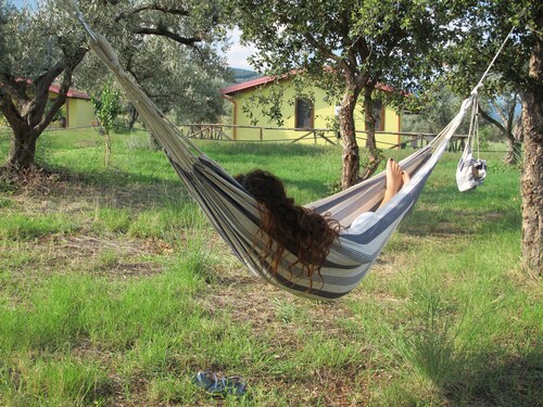 Offre spéciale! Bungalow sous les étoiles à la campagne à 2 km de la mer. 